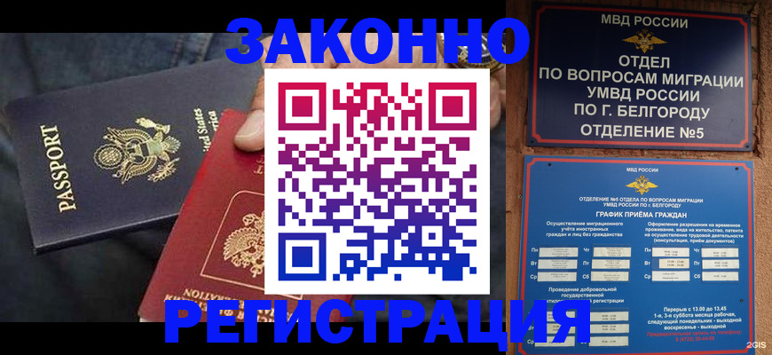 прописка законно в Борзе